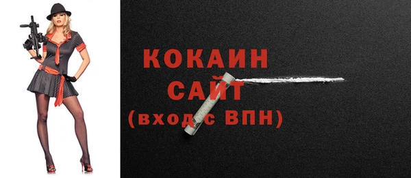 соль ск Новокубанск