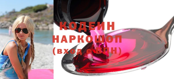 гашик Новозыбков