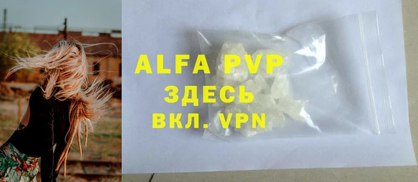гашик Новозыбков