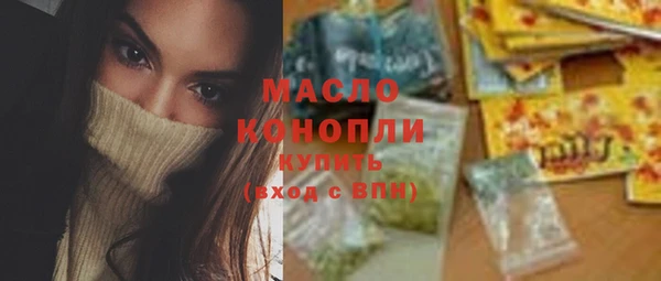 гашик Новозыбков