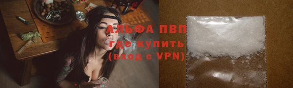 гашик Новозыбков