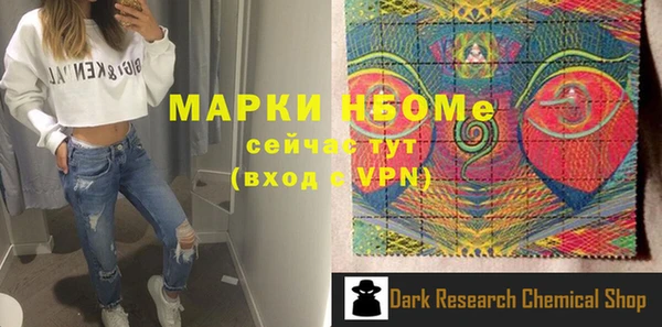 гашик Новозыбков