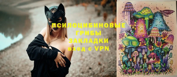 гашик Новозыбков