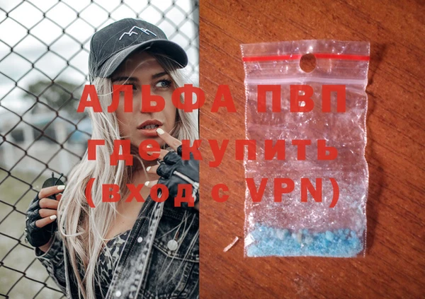 гашик Новозыбков