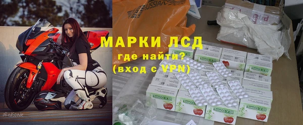 гашик Новозыбков