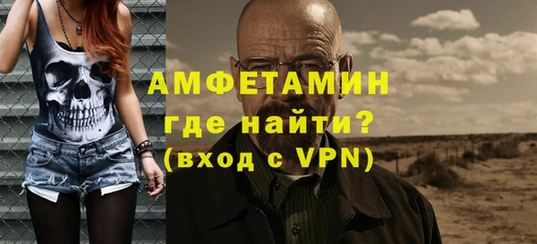 гашик Новозыбков