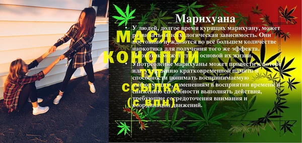 гашик Новозыбков