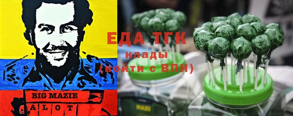 гашик Новозыбков