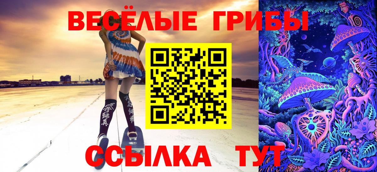 Галлюциногенные грибы Psilocybe Новосибирск