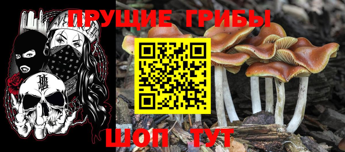 Галлюциногенные грибы ЛСД  Галлюциногенные грибы прущие грибы  продажа наркотиков  Новосибирск 