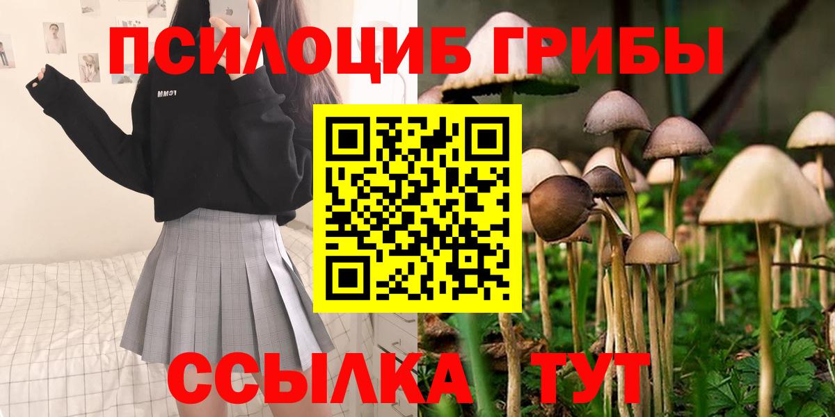 Галлюциногенные грибы мухоморы  Вход с VPN  Псилоцибиновые грибы Cubensis  Новосибирск 